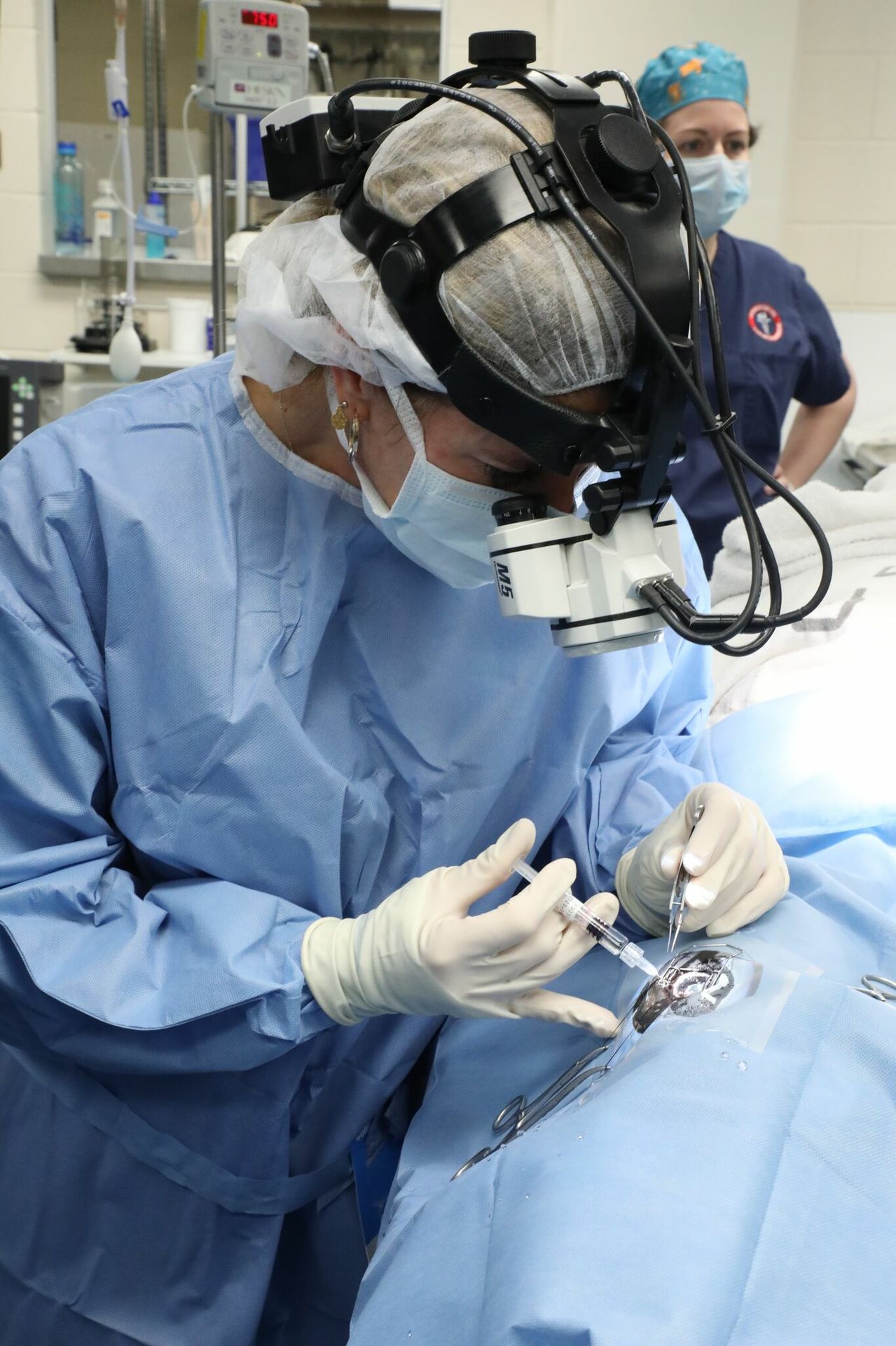 HELPINGHUNTER PHOTOS Aquarium